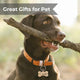 Mixed Color Stainless Steel Dog Tag (10pcs)