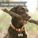 Mixed Color Stainless Steel Dog Tag (10pcs)