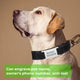 Dog Collar (2pcs)