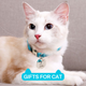 Cat Collar Set (4pcs)