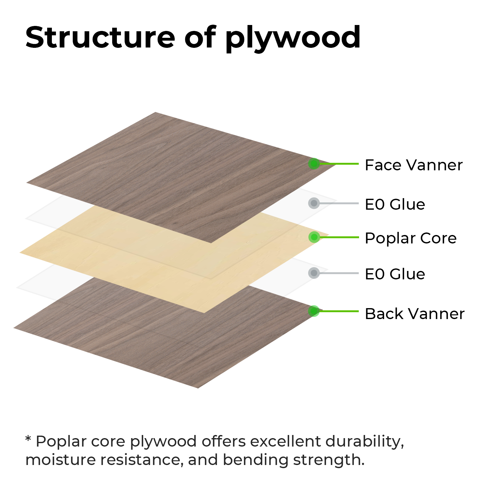 Birch Plywood Sheets